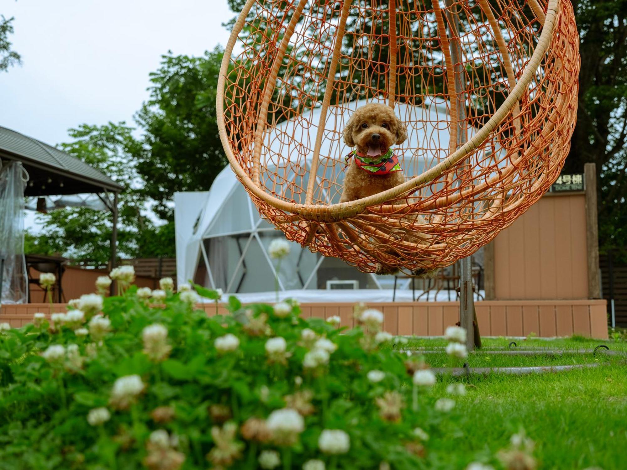 Gramercy Village 山中湖 Glamping &Sauna 山中湖村 エクステリア 写真